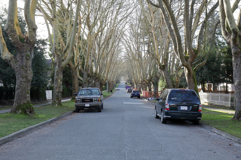 Illustration for article titled Pics from the Curbside: 2018-02-12 to The Boulevards